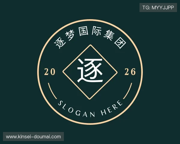 介绍逐梦国际集团